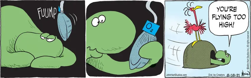 B.C. for Aug 18, 2021