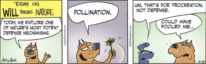 Dogs of C-Kennel for Aug 18, 2023