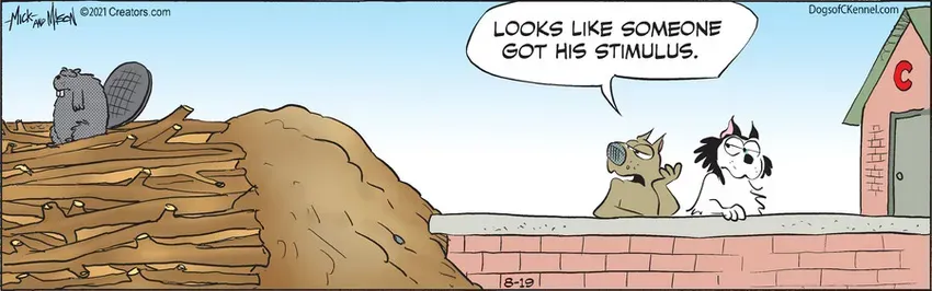 Dogs of C-Kennel for Aug 19, 2021