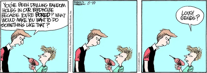 Daddy's Home for Aug 19, 2021