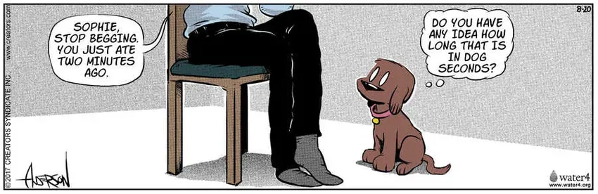 Dog Eat Doug for Aug 20, 2022