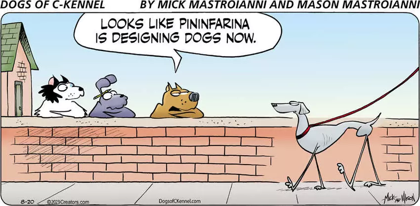 Dogs of C-Kennel for Aug 20, 2023
