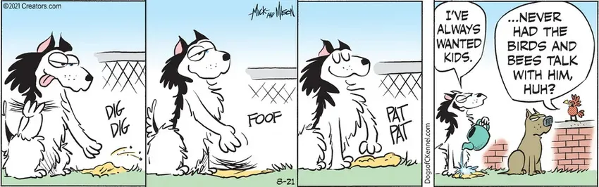 Dogs of C-Kennel for Aug 21, 2021
