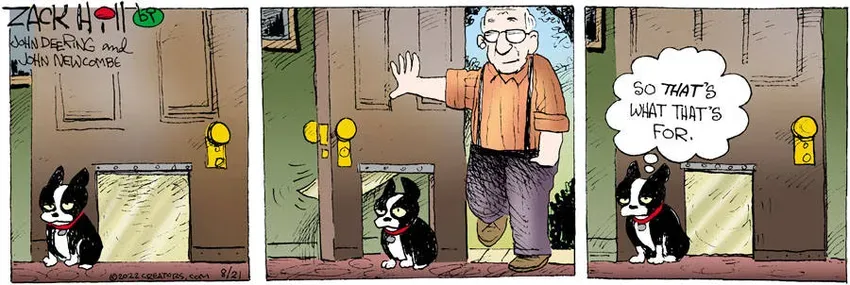 Zack Hill for Aug 21, 2022