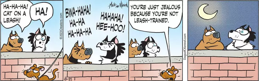 Dogs of C-Kennel for Aug 21, 2023