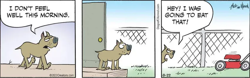 Dogs of C-Kennel for Aug 22, 2022