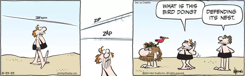 B.C. for Aug 23, 2023