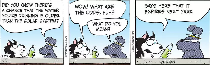 Dogs of C-Kennel for Aug 23, 2023