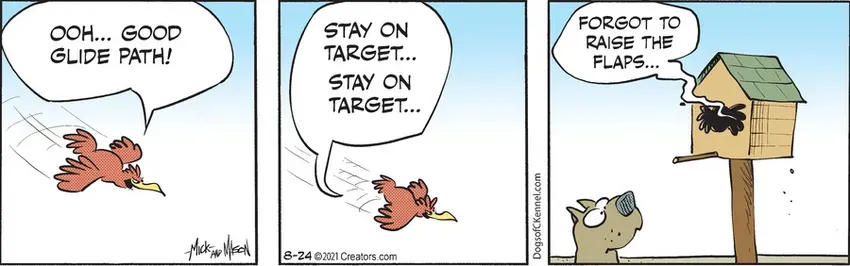 Dogs of C-Kennel for Aug 24, 2021