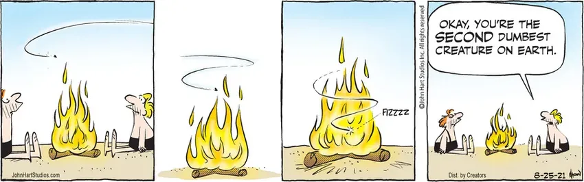 B.C. for Aug 25, 2021