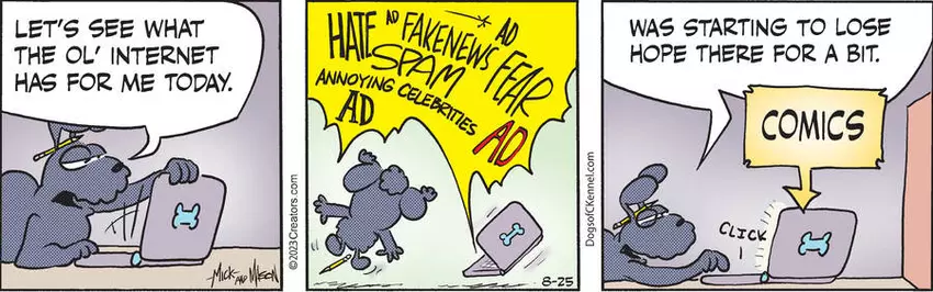 Dogs of C-Kennel for Aug 25, 2023