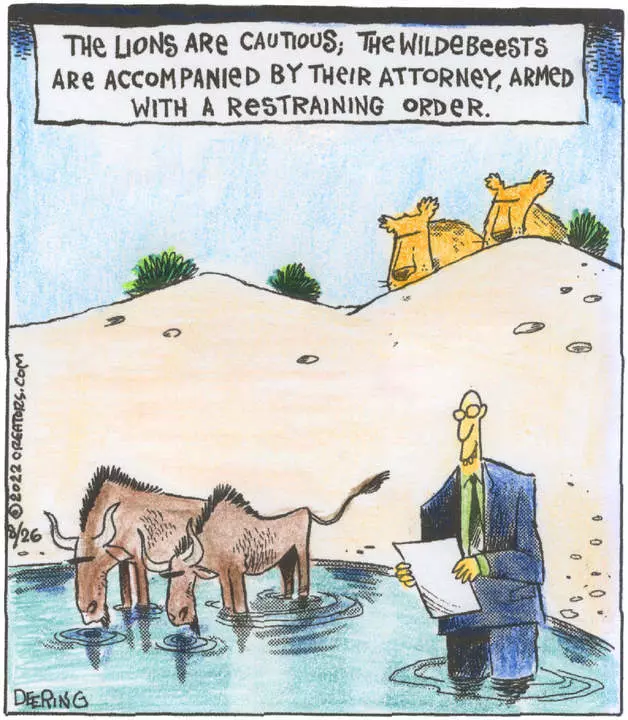 Strange Brew for Aug 26, 2022