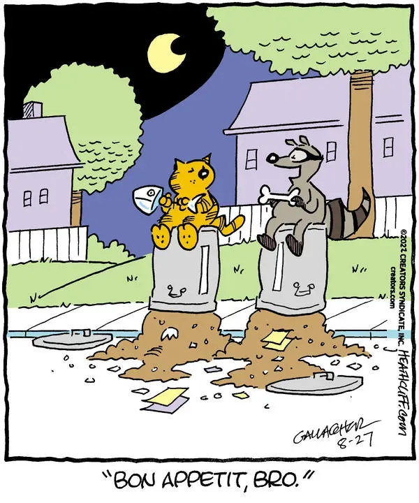 Heathcliff for Aug 27, 2022
