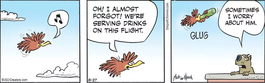 Dogs of C-Kennel for Aug 27, 2022