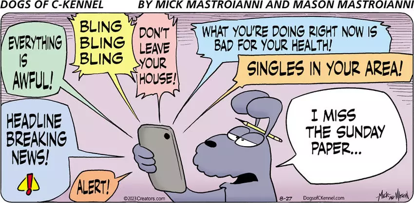 Dogs of C-Kennel for Aug 27, 2023