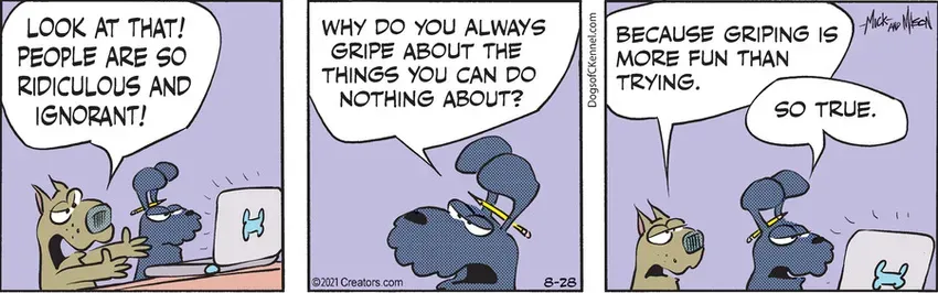 Dogs of C-Kennel for Aug 28, 2021