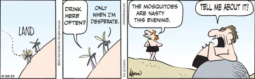 B.C. for Aug 28, 2023