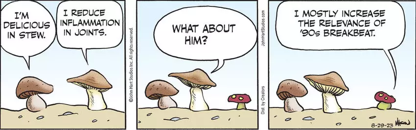 B.C. for Aug 29, 2023