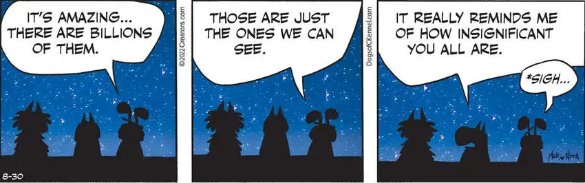 Dogs of C-Kennel for Aug 30, 2022