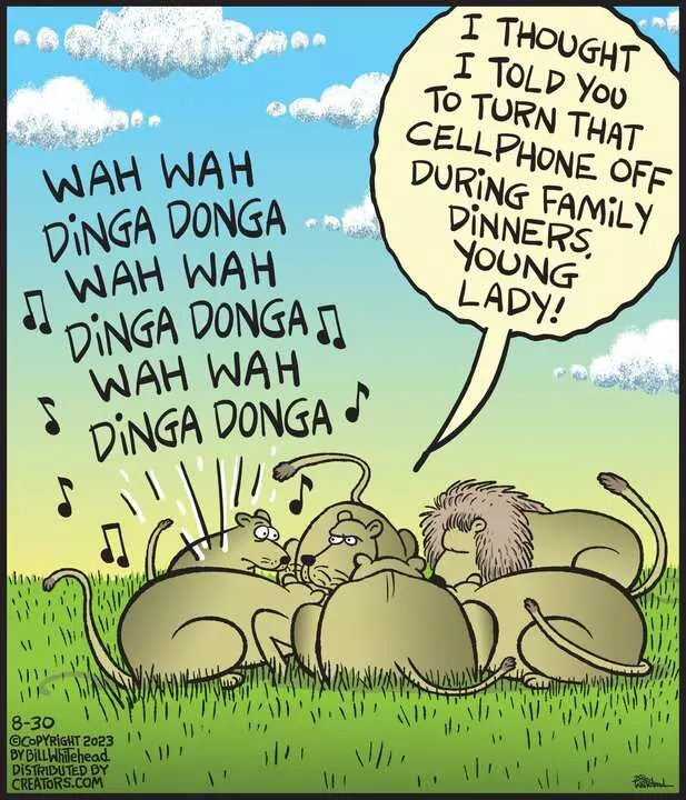 Free Range for Aug 30, 2023