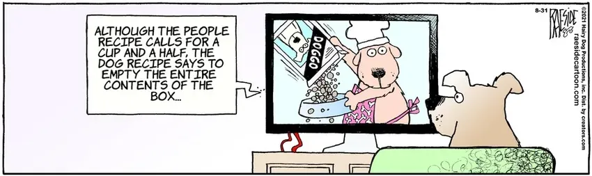 The Other Coast for Aug 31, 2021