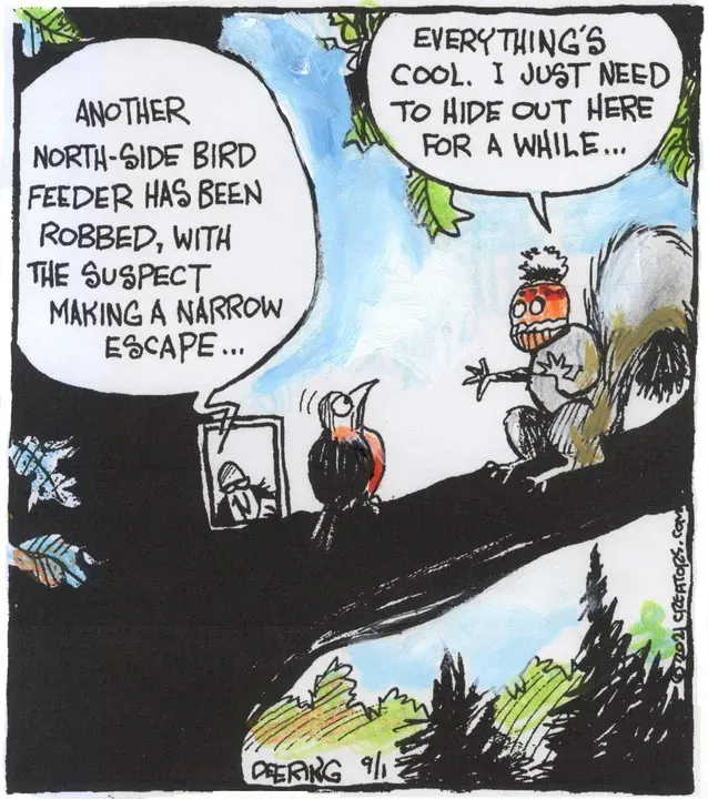 Strange Brew for Sep 01, 2021