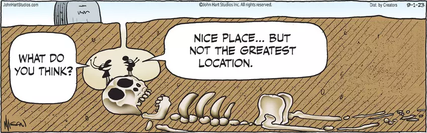 B.C. for Sep 01, 2023