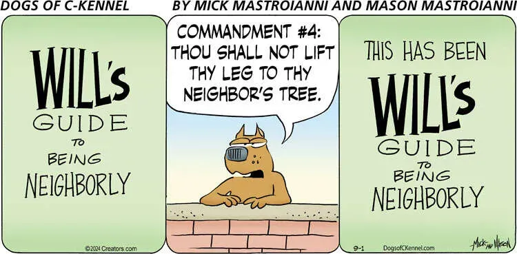 Dogs of C-Kennel for Sep 01, 2024
