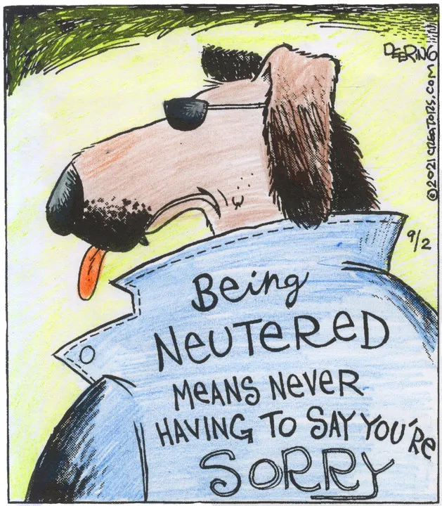 Strange Brew for Sep 02, 2021