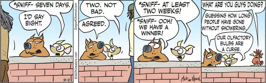 Dogs of C-Kennel for Sep 02, 2023