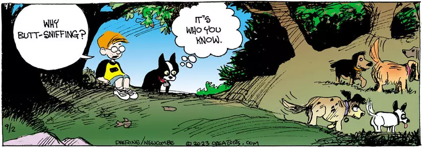 Zack Hill for Sep 02, 2023