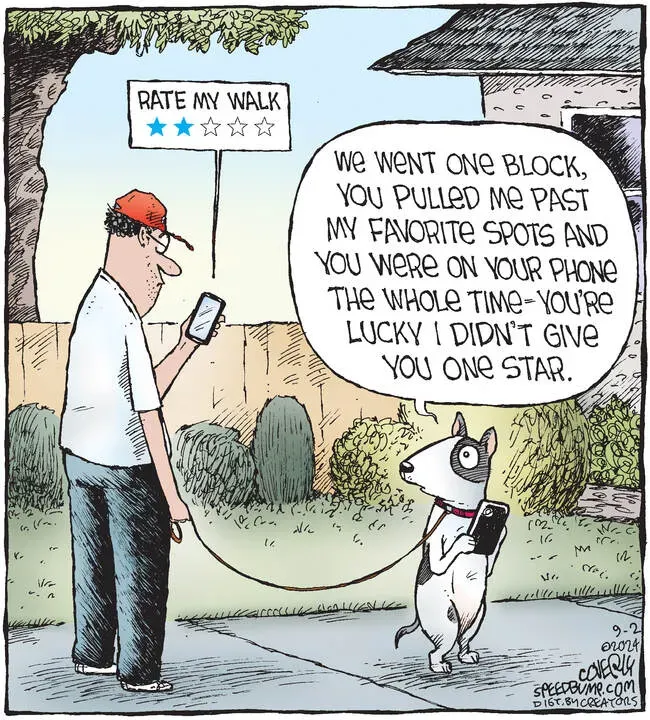 Speed Bump for Sep 02, 2024