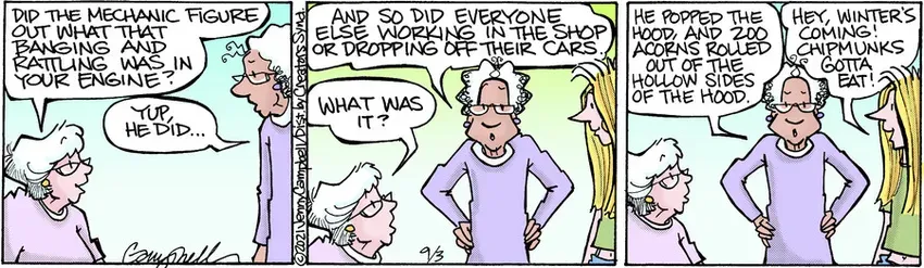 Flo & Friends for Sep 03, 2021