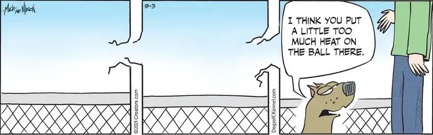 Dogs of C-Kennel for Sep 03, 2021