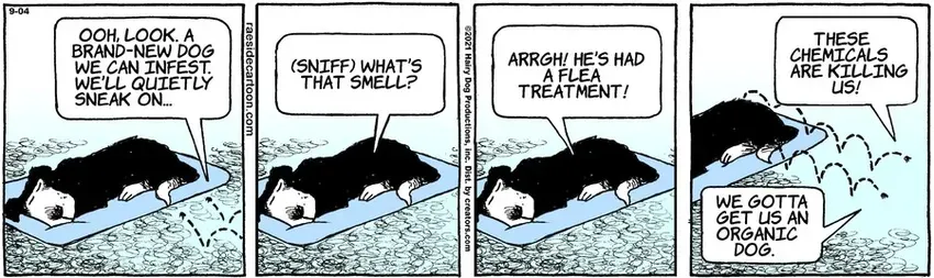 The Other Coast for Sep 04, 2021