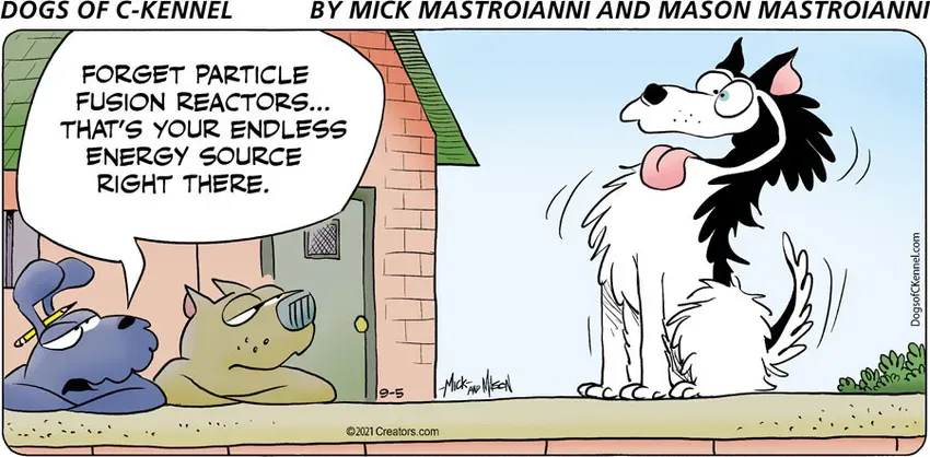 Dogs of C-Kennel for Sep 05, 2021