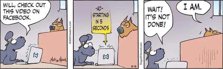 Dogs of C-Kennel for Sep 05, 2024
