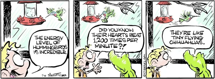 Shrimp and Grits for Sep 06, 2024