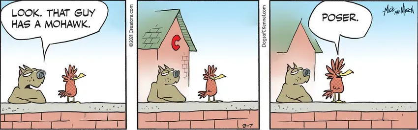 Dogs of C-Kennel for Sep 07, 2021