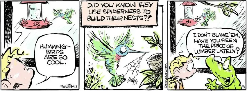 Shrimp and Grits for Sep 07, 2024