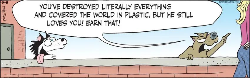 Dogs of C-Kennel for Sep 08, 2021