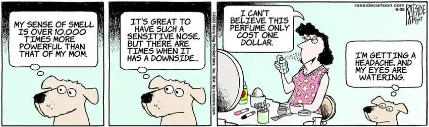 The Other Coast for Sep 08, 2022