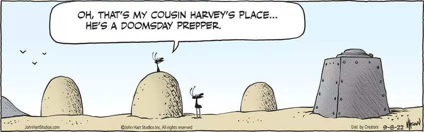 B.C. for Sep 08, 2022