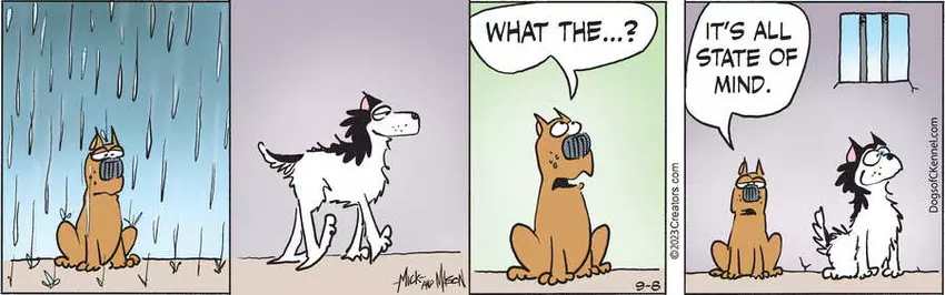 Dogs of C-Kennel for Sep 08, 2023