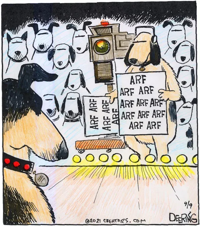 Strange Brew for Sep 09, 2021