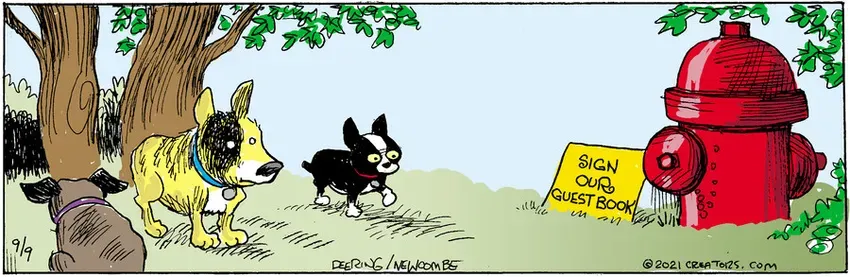 Zack Hill for Sep 09, 2021