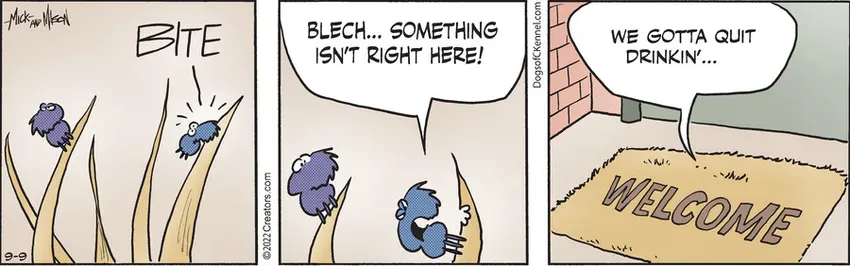 Dogs of C-Kennel for Sep 09, 2022