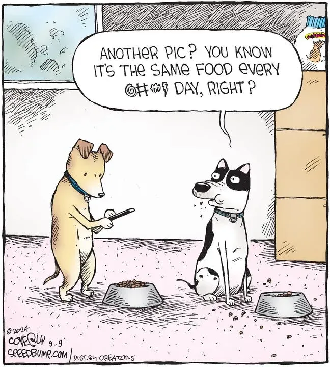 Speed Bump for Sep 09, 2024