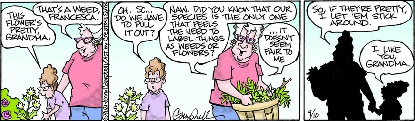 Flo & Friends for Sep 10, 2021