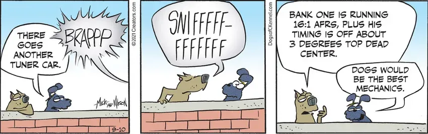 Dogs of C-Kennel for Sep 10, 2021